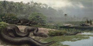 This artist’s rendering shows how Titanoboa may have looked in its natural environment 60 million years ago. Florida Museum illustration by Jason Bourque