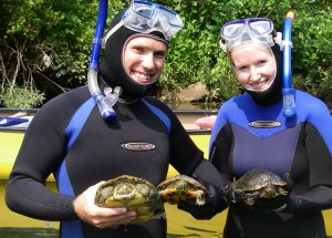 UF researchers Joseph Tavano and Amber Pitt hold a northern map turtle and two red-eared sliders caught in the North Fork of White River in Ozark County, Mo. Photo by Charles Hoessle, St. Louis Zoo. 