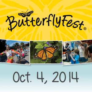 12694 BFest Digital Material_FB2