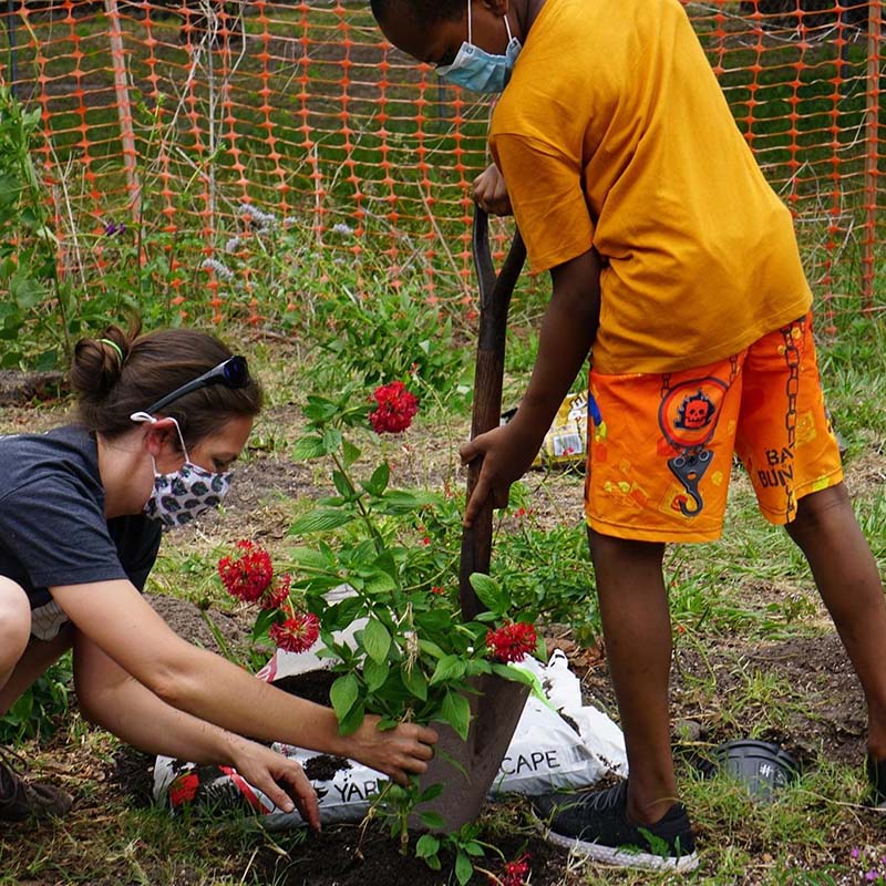 Butterfly Garden Program