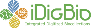 iDigBio logo