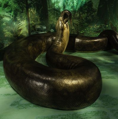 Titanoboa: Monster Snake. The scientifically accurate full-scale replica of the massive reptile on exhibit at the Smithsonian National Museum of Natural History.