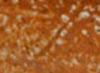 Brown/Manganese Brown background / design color example