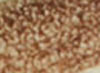 Brown/Manganese Brown background / design color example