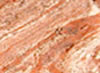 Ejemplo de sección transversal de color de pasta roja y blanca