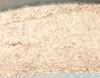 Ejemplo de sección transversal de pasta de barro refinado