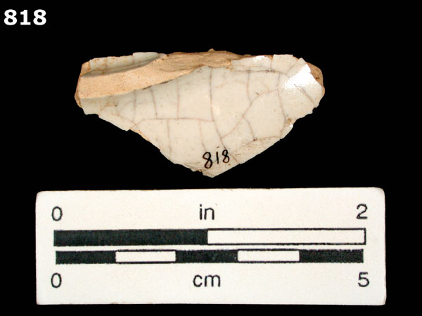 ABO POLYCHROME specimen 818 rear view