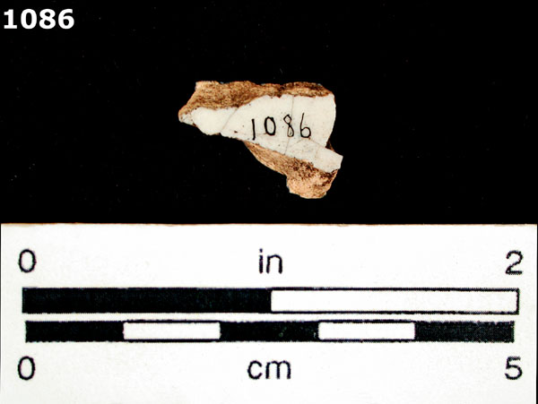 PUEBLA BLUE ON WHITE specimen 1086 rear view