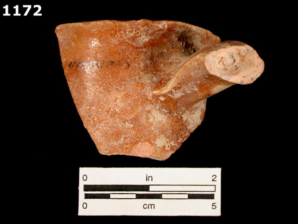MELADO specimen 1172 front view