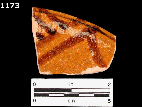 MELADO specimen 1173 front view