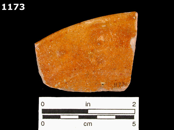 MELADO specimen 1173 rear view