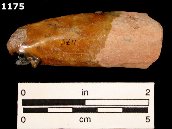 MELADO specimen 1175 front view