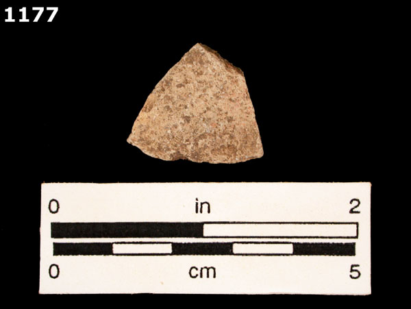 MELADO specimen 1177 front view