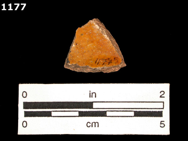 MELADO specimen 1177 rear view