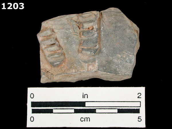 GREYWARE specimen 1203 