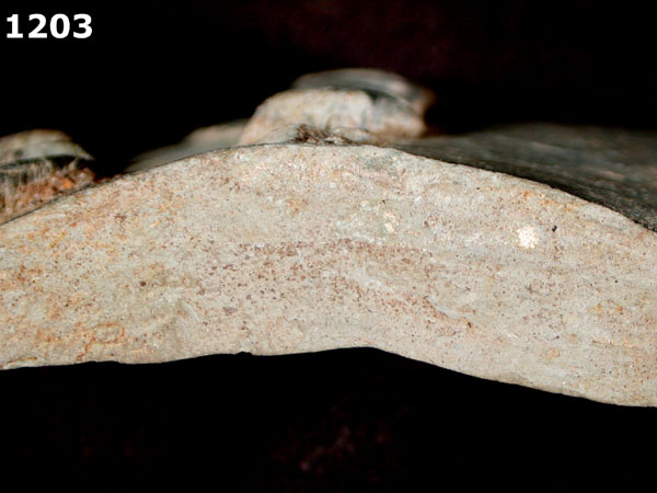 GREYWARE specimen 1203 side view