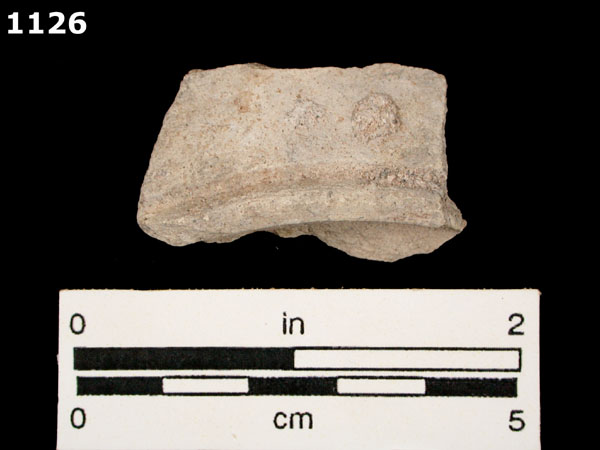 BIZCOCHO specimen 1126 