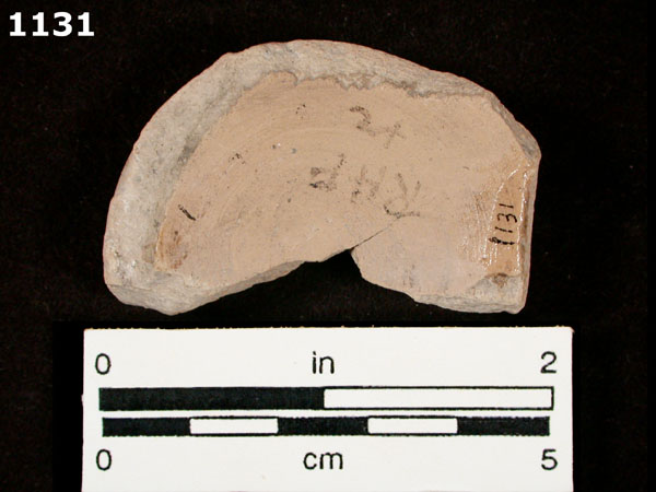 BIZCOCHO specimen 1131 rear view