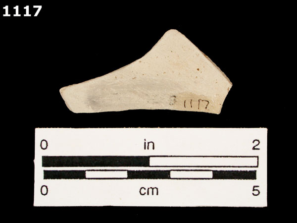 BIZCOCHO specimen 1117 rear view