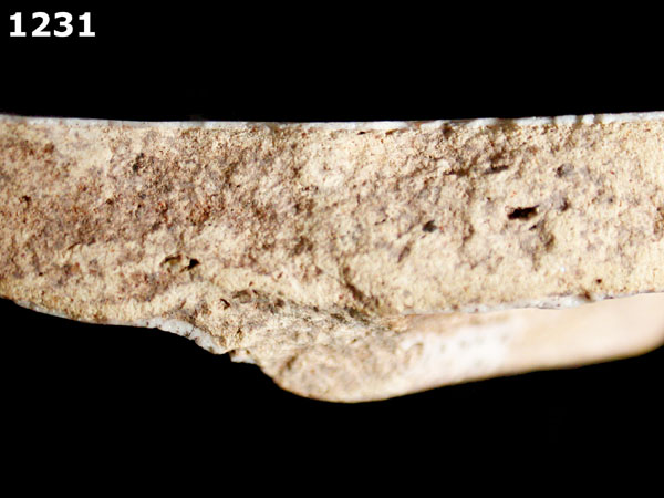 CASTILLO POLYCHROME specimen 1231 side view