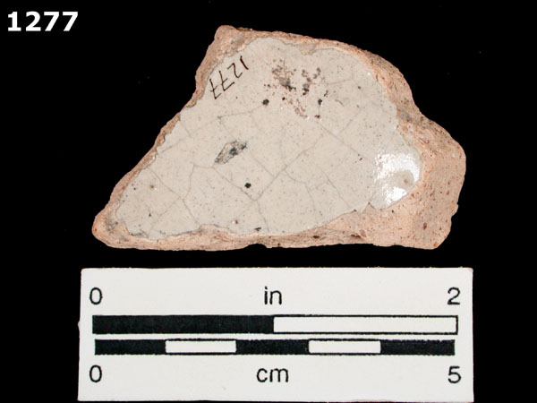 COLUMBIA PLAIN specimen 1277 rear view