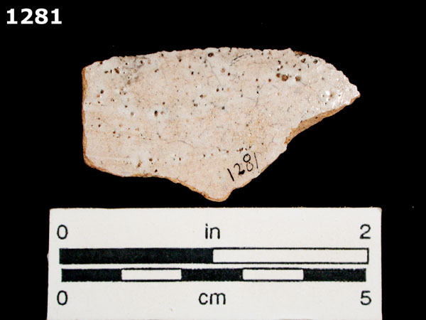 COLUMBIA PLAIN specimen 1281 rear view