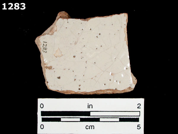 COLUMBIA PLAIN specimen 1283 rear view