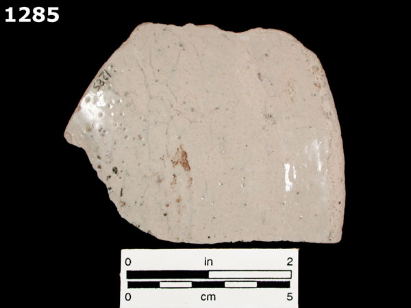 COLUMBIA PLAIN specimen 1285 rear view