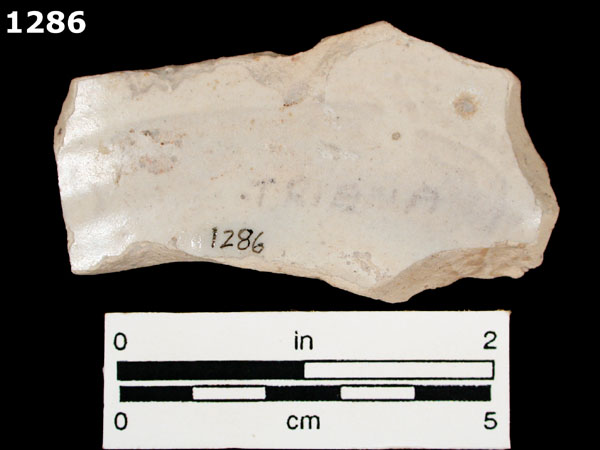 COLUMBIA PLAIN specimen 1286 rear view