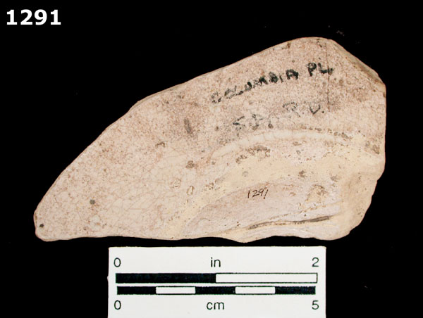 COLUMBIA PLAIN specimen 1291 rear view
