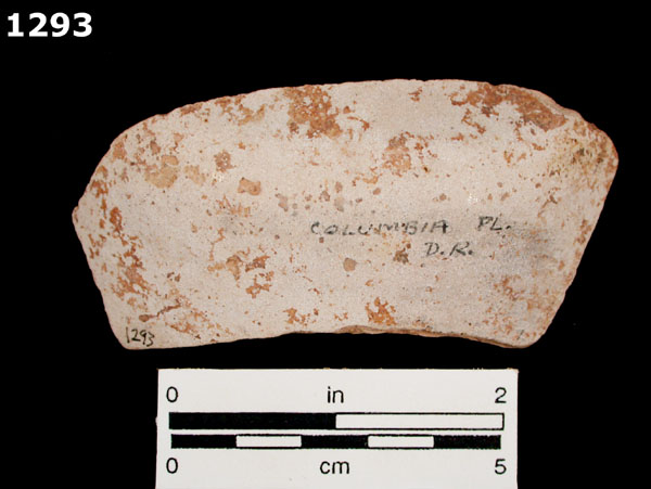 COLUMBIA PLAIN specimen 1293 rear view