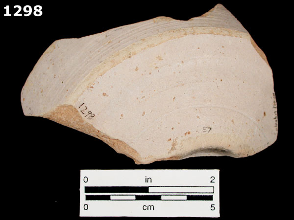 COLUMBIA PLAIN specimen 1298 rear view