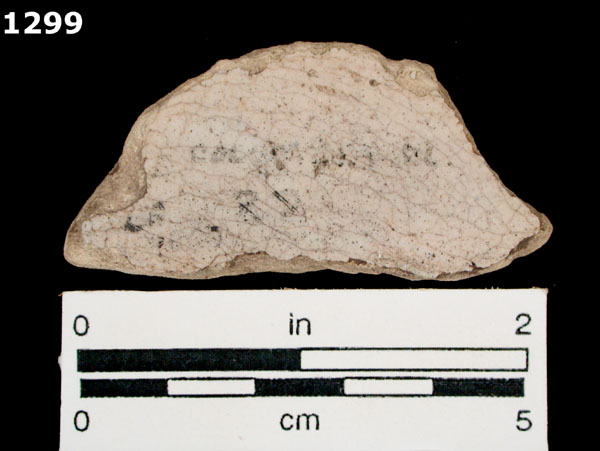 COLUMBIA PLAIN specimen 1299 