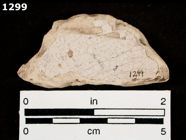 COLUMBIA PLAIN specimen 1299 rear view