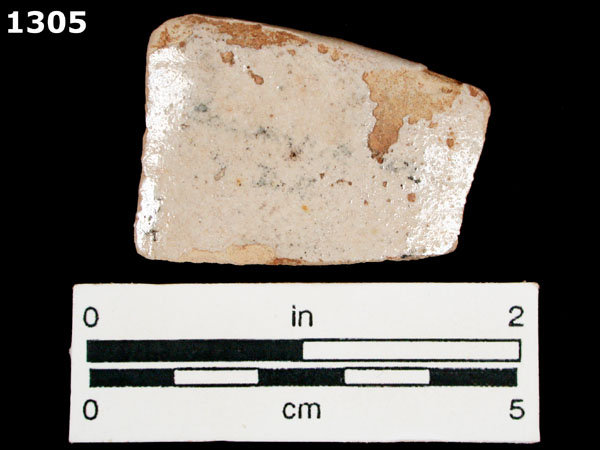 COLUMBIA PLAIN specimen 1305 rear view