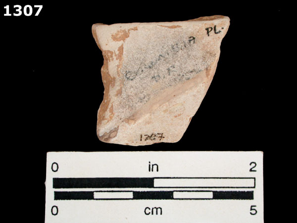 COLUMBIA PLAIN specimen 1307 rear view