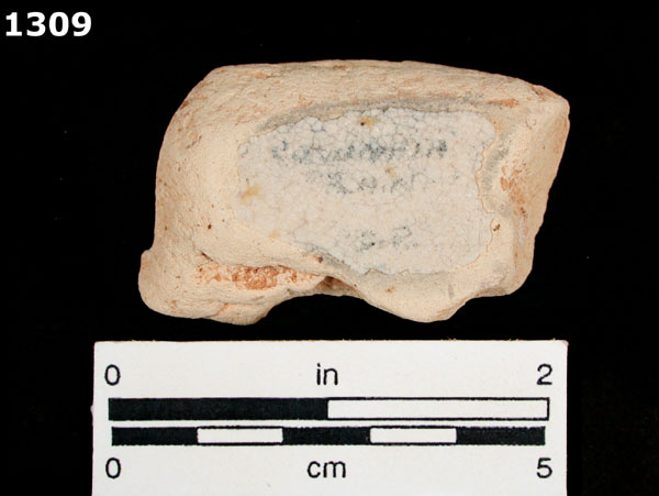 COLUMBIA PLAIN specimen 1309 