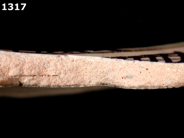 PUEBLA POLYCHROME specimen 1317 side view