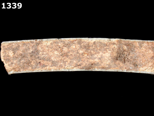 HUEJOTZINGO BLUE ON WHITE specimen 1339 side view