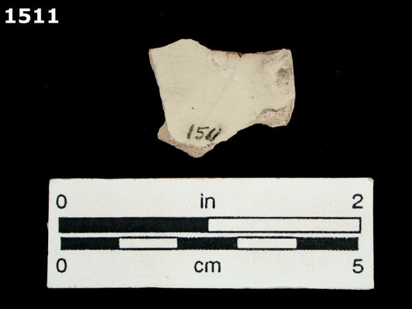 TETEPANTLA BLACK ON WHITE specimen 1511 rear view