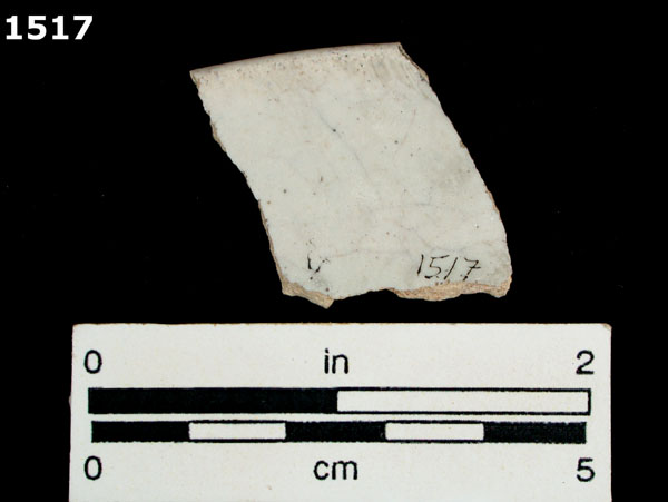 TETEPANTLA BLACK ON WHITE specimen 1517 rear view
