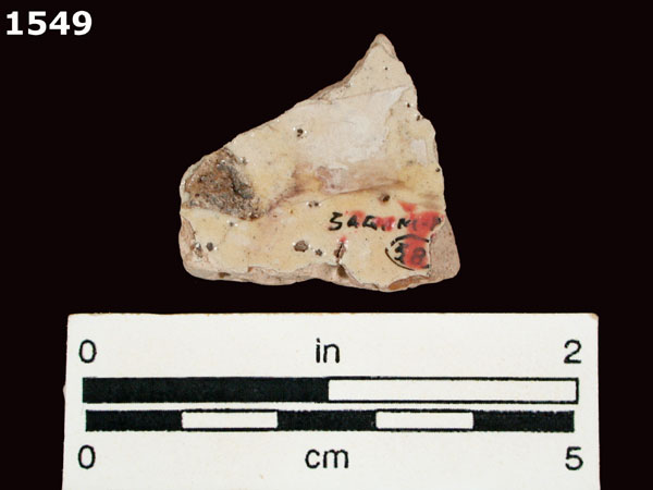 MEXICO CITY WHITE-VARIETY 1 specimen 1549 rear view