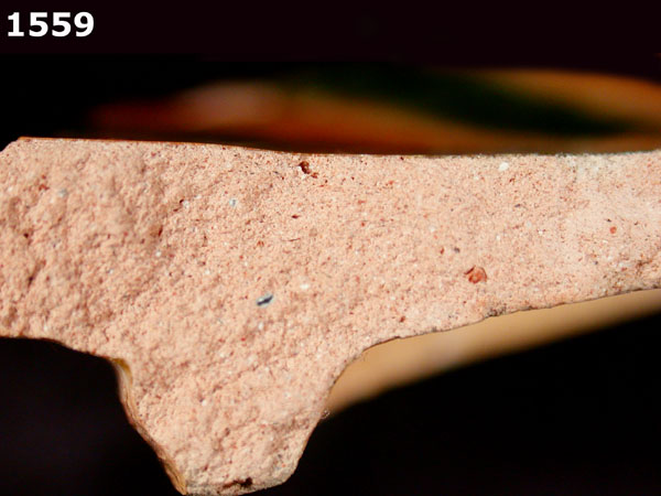 SANTA MARIA POLYCHROME specimen 1559 side view