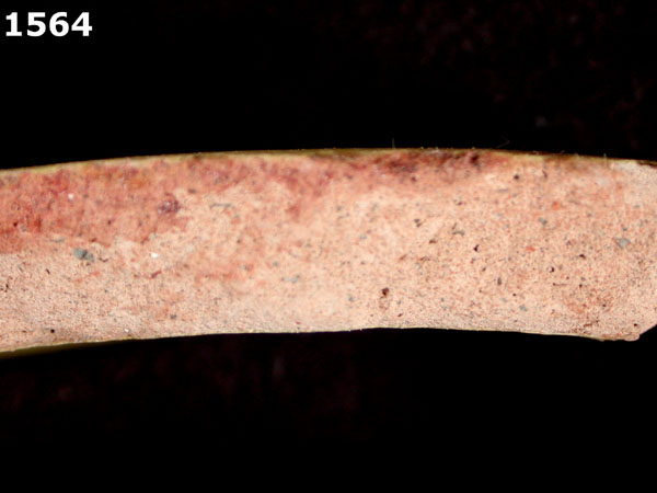 MEXICO CITY WHITE-VARIETY 2 specimen 1564 side view