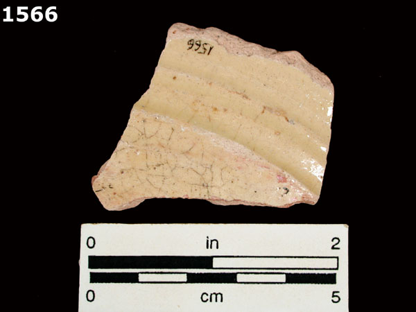 MEXICO CITY WHITE-VARIETY 2 specimen 1566 rear view