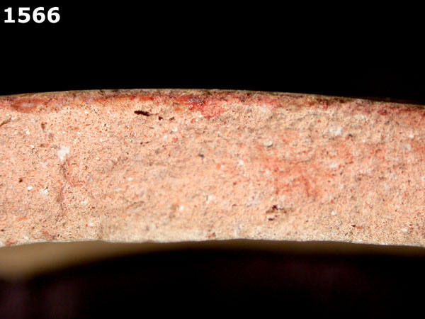 MEXICO CITY WHITE-VARIETY 2 specimen 1566 side view