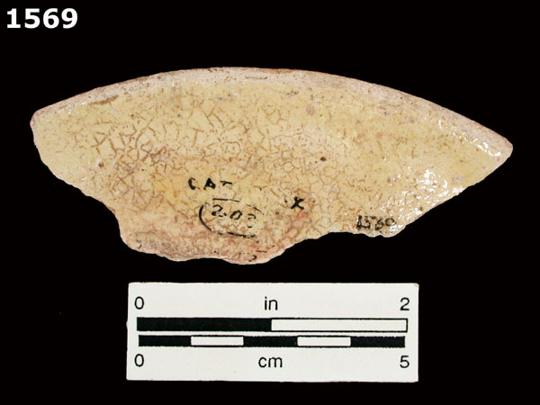 MEXICO CITY WHITE-VARIETY 2 specimen 1569 rear view