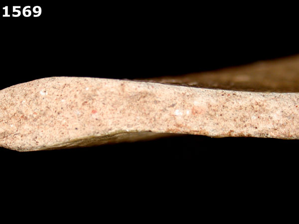 MEXICO CITY WHITE-VARIETY 2 specimen 1569 side view