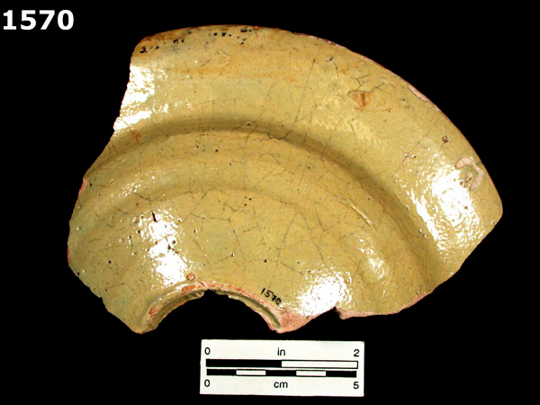 MEXICO CITY WHITE-VARIETY 2 specimen 1570 rear view