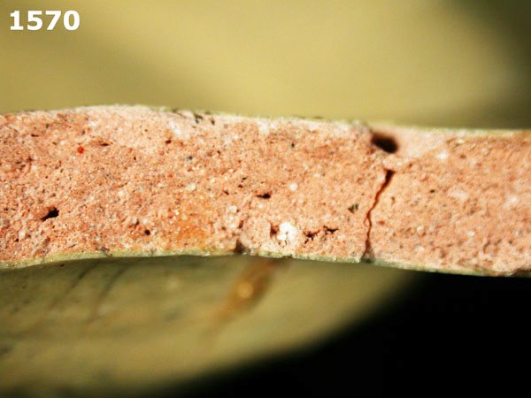 MEXICO CITY WHITE-VARIETY 2 specimen 1570 side view